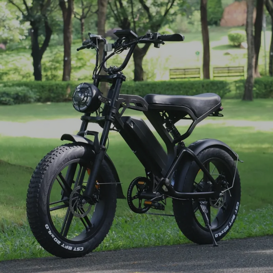 Swift E-Bike™ 48V Fat Boy